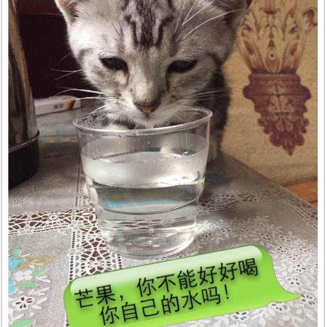 高中毕业有什么毕业证